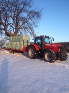 William Lowe's Marshall BC/25-10ton Bale Trailer